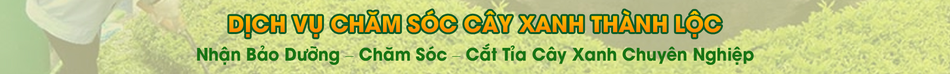 DỊCH VỤ CÂY XANH